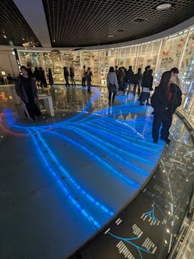 国立科学博物館に投稿された画像（2026/2/12）