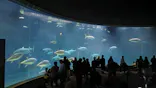 葛西臨海水族園に投稿された画像（2026/2/12）