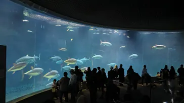葛西臨海水族園に投稿された画像（2026/2/12）