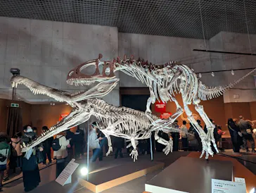 特別展「大絶滅展―生命史のビッグファイブ」に投稿された画像（2026/2/12）