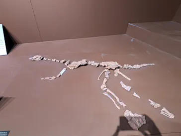 特別展「大絶滅展―生命史のビッグファイブ」に投稿された画像（2026/2/12）