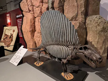 特別展「大絶滅展―生命史のビッグファイブ」に投稿された画像（2026/2/12）
