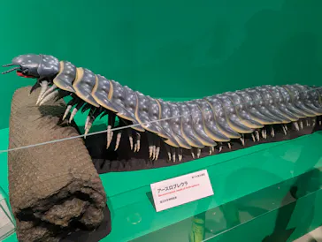 特別展「大絶滅展―生命史のビッグファイブ」に投稿された画像（2026/2/12）