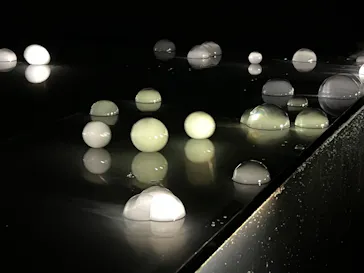 六本木クロッシング2025展（森美術館）に投稿された画像（2026/2/12）