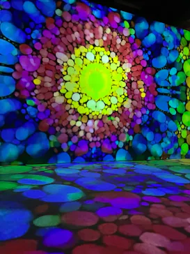 NAKED meets ガウディ展に投稿された画像（2026/2/12）