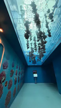 仙台うみの杜水族館に投稿された画像（2026/2/12）