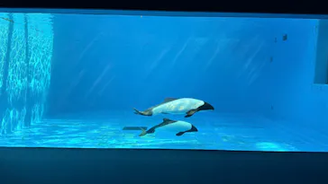 仙台うみの杜水族館に投稿された画像（2026/2/12）