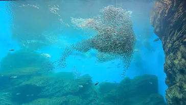 仙台うみの杜水族館に投稿された画像（2026/2/12）
