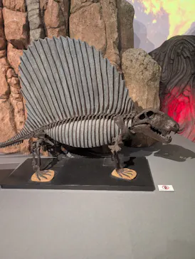 特別展「大絶滅展―生命史のビッグファイブ」に投稿された画像（2026/2/12）