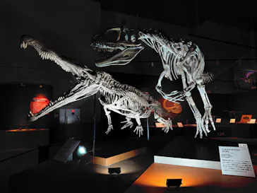 特別展「大絶滅展―生命史のビッグファイブ」に投稿された画像（2026/2/12）