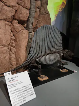 特別展「大絶滅展―生命史のビッグファイブ」に投稿された画像（2026/2/12）
