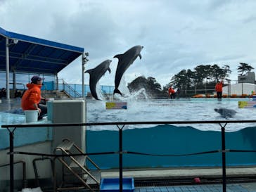 越前松島水族館に投稿された画像（2026/2/12）