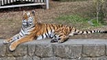 天王寺動物園に投稿された画像（2026/2/12）