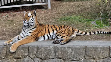 天王寺動物園に投稿された画像（2026/2/12）