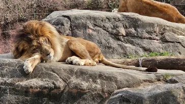 天王寺動物園に投稿された画像（2026/2/12）