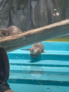 竹島水族館に投稿された画像（2026/2/12）