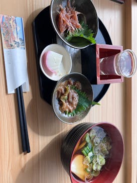 小田原城に投稿された画像（2026/2/12）