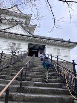 小田原城に投稿された画像（2026/2/12）