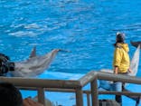 名古屋港水族館に投稿された画像（2026/2/12）