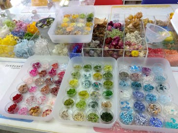 ずこうしつ〜sugamo〜に投稿された画像（2026/2/12）