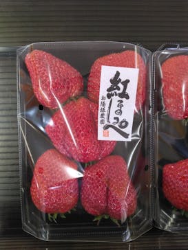 お陽様農園に投稿された画像（2026/2/12）