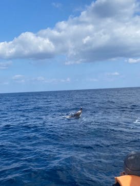 JAM（ジャム）マリンクラブに投稿された画像（2026/2/12）