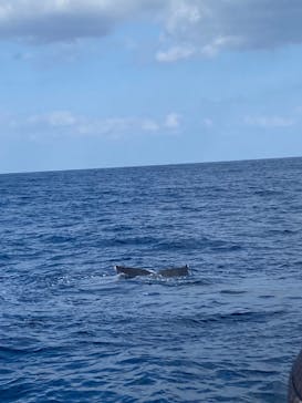 JAM（ジャム）マリンクラブに投稿された画像（2026/2/12）