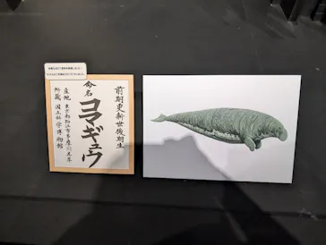 特別展「大絶滅展―生命史のビッグファイブ」に投稿された画像（2026/2/12）