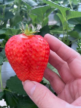 株式会社こまち野に投稿された画像（2026/2/12）