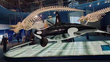 名古屋港水族館に投稿された画像（2026/2/12）