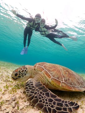 nico 宮古島に投稿された画像（2026/2/12）