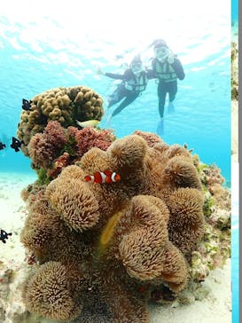 nico 宮古島に投稿された画像（2026/2/12）