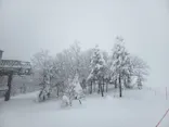蔵王ロープウェイに投稿された画像（2026/2/12）