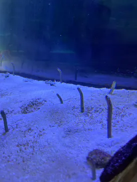 名古屋港水族館に投稿された画像（2026/2/12）