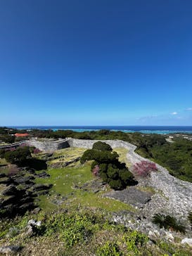 今帰仁城跡に投稿された画像（2026/2/12）