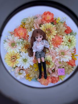 リカちゃんの ON/OFF 展　大阪に投稿された画像（2026/2/12）