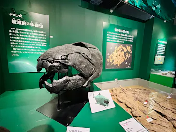 特別展「大絶滅展―生命史のビッグファイブ」に投稿された画像（2026/2/12）