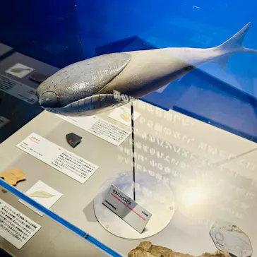 特別展「大絶滅展―生命史のビッグファイブ」に投稿された画像（2026/2/12）