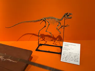 特別展「大絶滅展―生命史のビッグファイブ」に投稿された画像（2026/2/12）