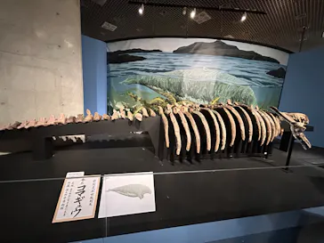 特別展「大絶滅展―生命史のビッグファイブ」に投稿された画像（2026/2/12）