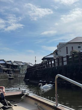 小江戸さわら 舟めぐりに投稿された画像（2026/2/12）