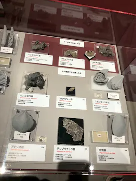 特別展「大絶滅展―生命史のビッグファイブ」に投稿された画像（2026/2/12）