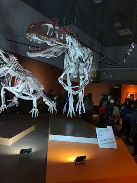 特別展「大絶滅展―生命史のビッグファイブ」に投稿された画像（2026/2/12）