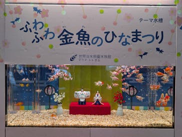 世界淡水魚園水族館　アクア・トトぎふに投稿された画像（2026/2/12）