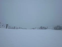 キューピットバレイに投稿された画像（2026/2/12）