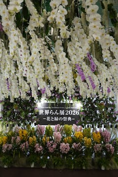 世界らん展2026-花と緑の祭典-に投稿された画像（2026/2/12）
