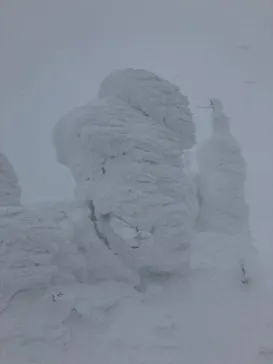 蔵王ロープウェイに投稿された画像（2026/2/12）