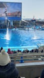 名古屋港水族館に投稿された画像（2026/2/13）
