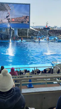 名古屋港水族館に投稿された画像（2026/2/12）