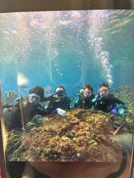 武藤潜水に投稿された画像（2026/2/13）